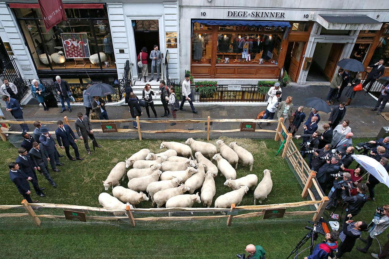 Él, junto con otros jóvenes modelos, pastorearon a las estrellas para presentarlas ante el público.