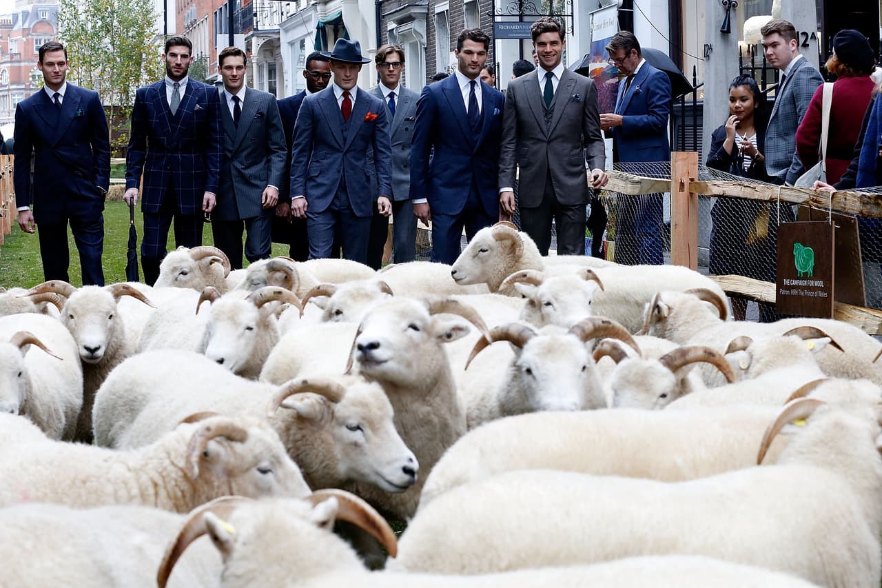 Habrá un menú inspirado en ovejas, proyecciones de películas con temática de estos animales y demás actividades familiares.
