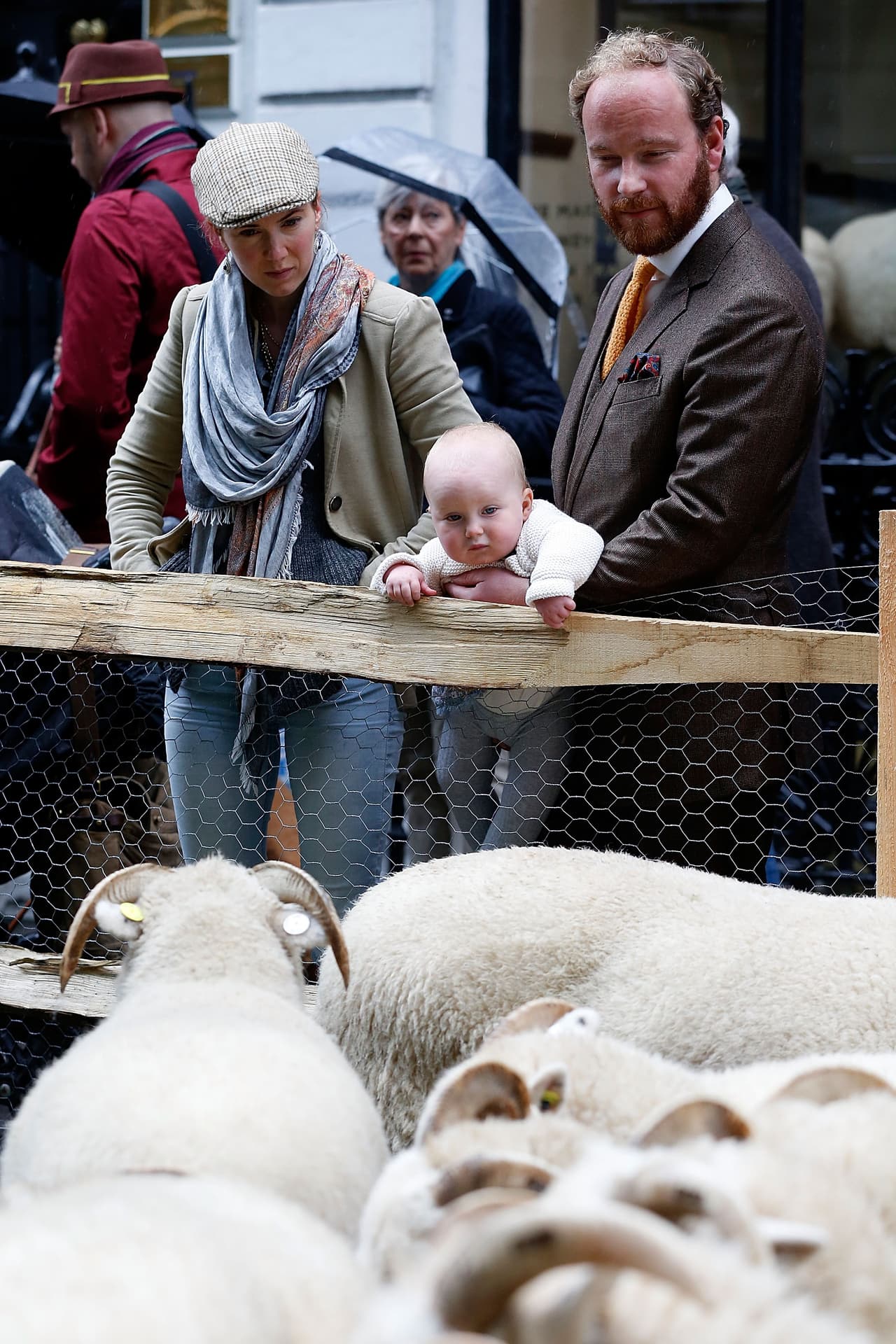 ¡Hasta los más pequeños pueden disfrutar de estos nobles animales!