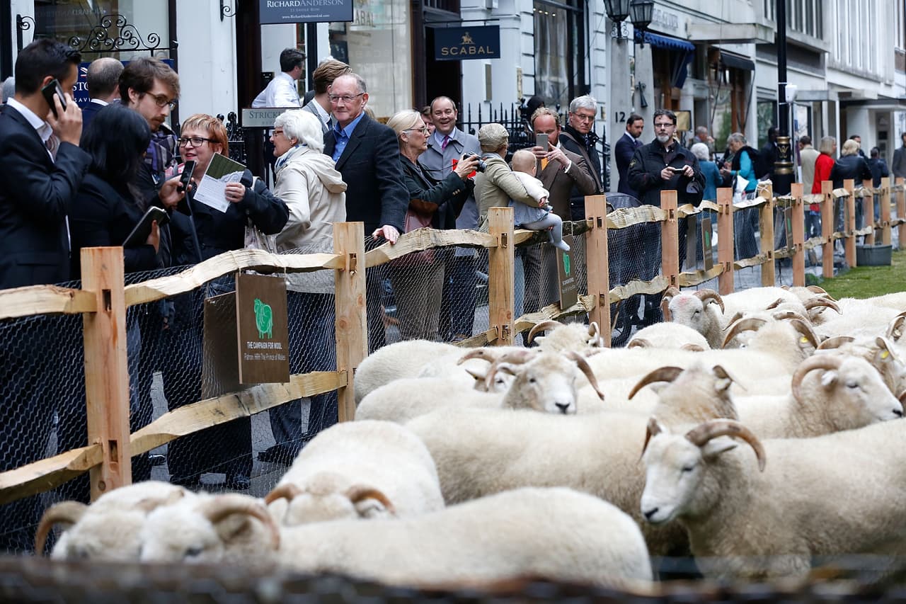 Por ejemplo, habrá una presentación en vivo de 25 sofisticados trajes diseñados sólo por los mejores.