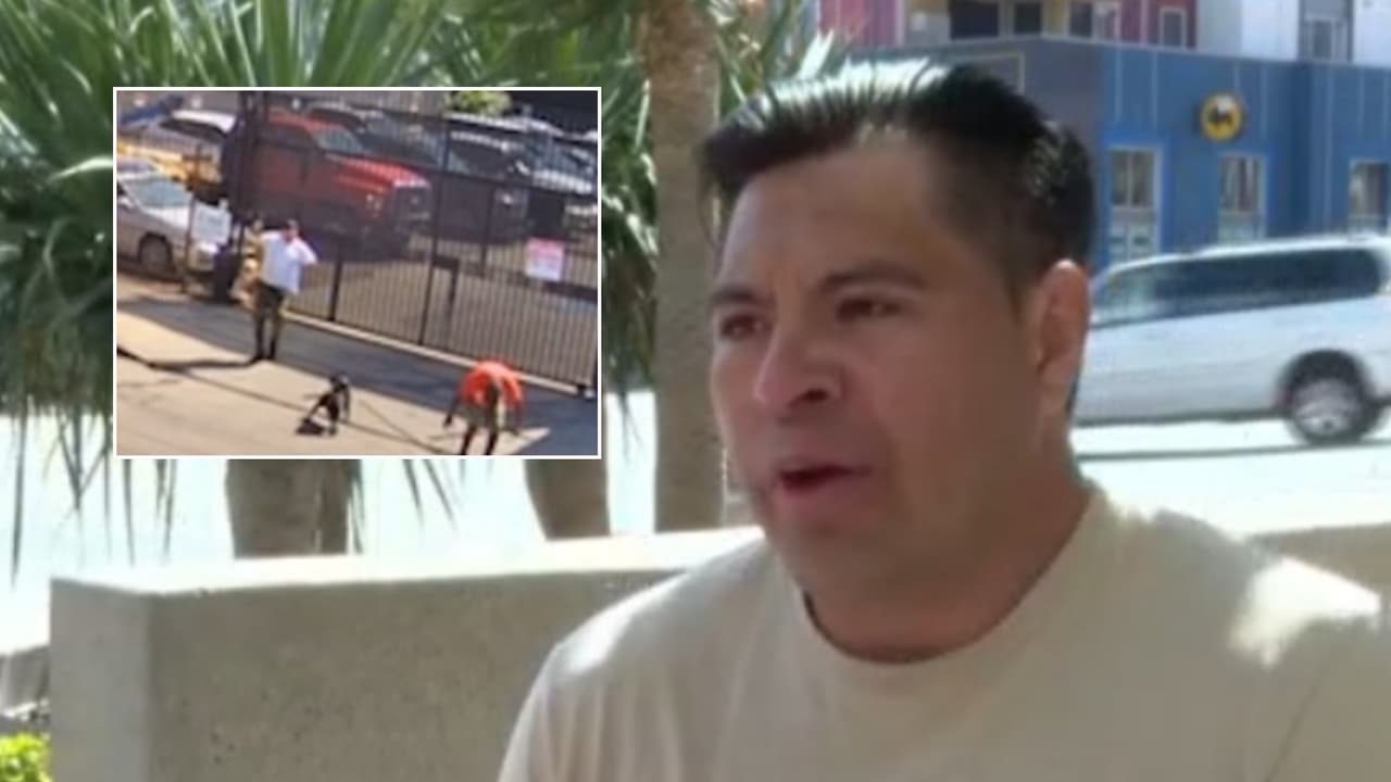 Hombre atacado por el perro de un indigente: ¿quién debe responder?