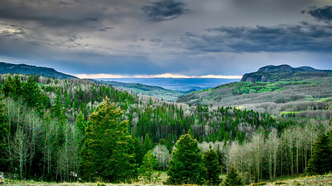 <b>White Mountains</b>
<br>En White Mountains los visitantes encuentran una gran cantidad de oportunidades recreativas como senderismo, paseo en bicicleta, navegar en bote, pesca, caza y más. Además, en un lugar ideal para acampar o disfrutar de la nieve durante el invierno. En sus alrededores puedes encontrar el Bosque Nacional Apache-Sitgreaves, Parques Estatales de Arizona y la Reserva Indígena Fort Apache.
<br>
<br>Ubicación: 
<a href="https://maps.app.goo.gl/n1UussXaV2RTgPWP7" target="_blank">Pinetop-Lakeside</a>