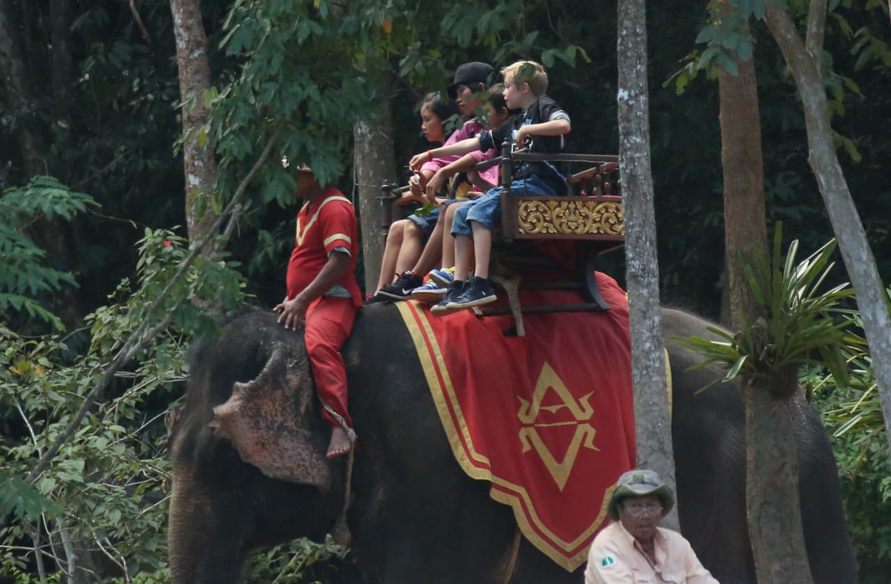 Más atrás vimos a Shiloh.