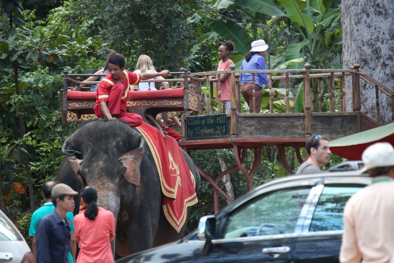 Estuvo muy emocionada con esta experiencia.