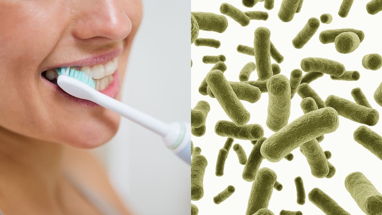 ¿Cada cuándo debes cambiar tu cepillo de dientes? 5 cosas desagradables que viven en él