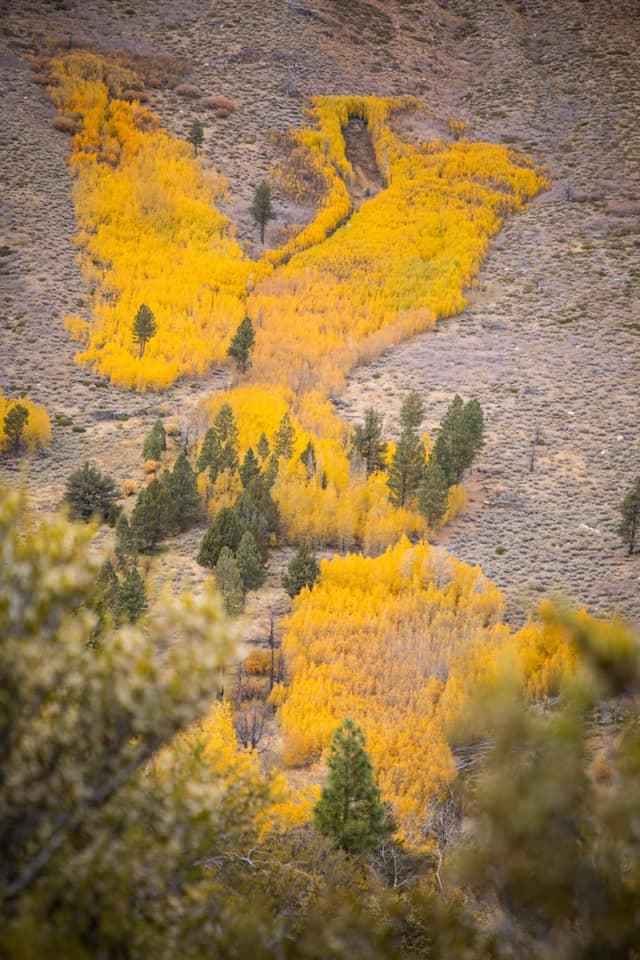 Esta es una muestra de los colores en el este de la Sierra Nevada, en el condado de Mono.