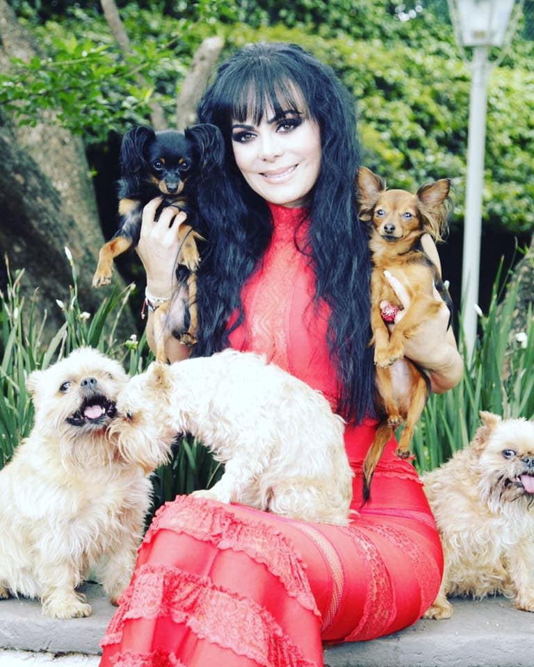 Maribel Guardia no tiene uno, sino cinco perritos; sus nombres son 'Dimitri, Ratatouille, París, Sadie y Pariño'.