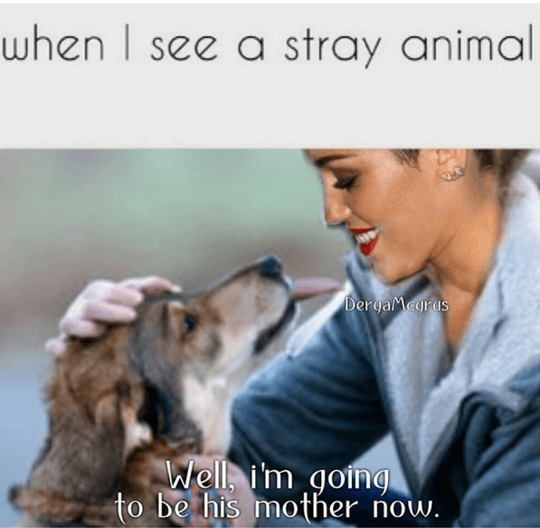 “Esto es cierto. 6 perros, 4 gatos, 2 caballos y un cerdito después”- escribió Miley Cyrus en Instagram.