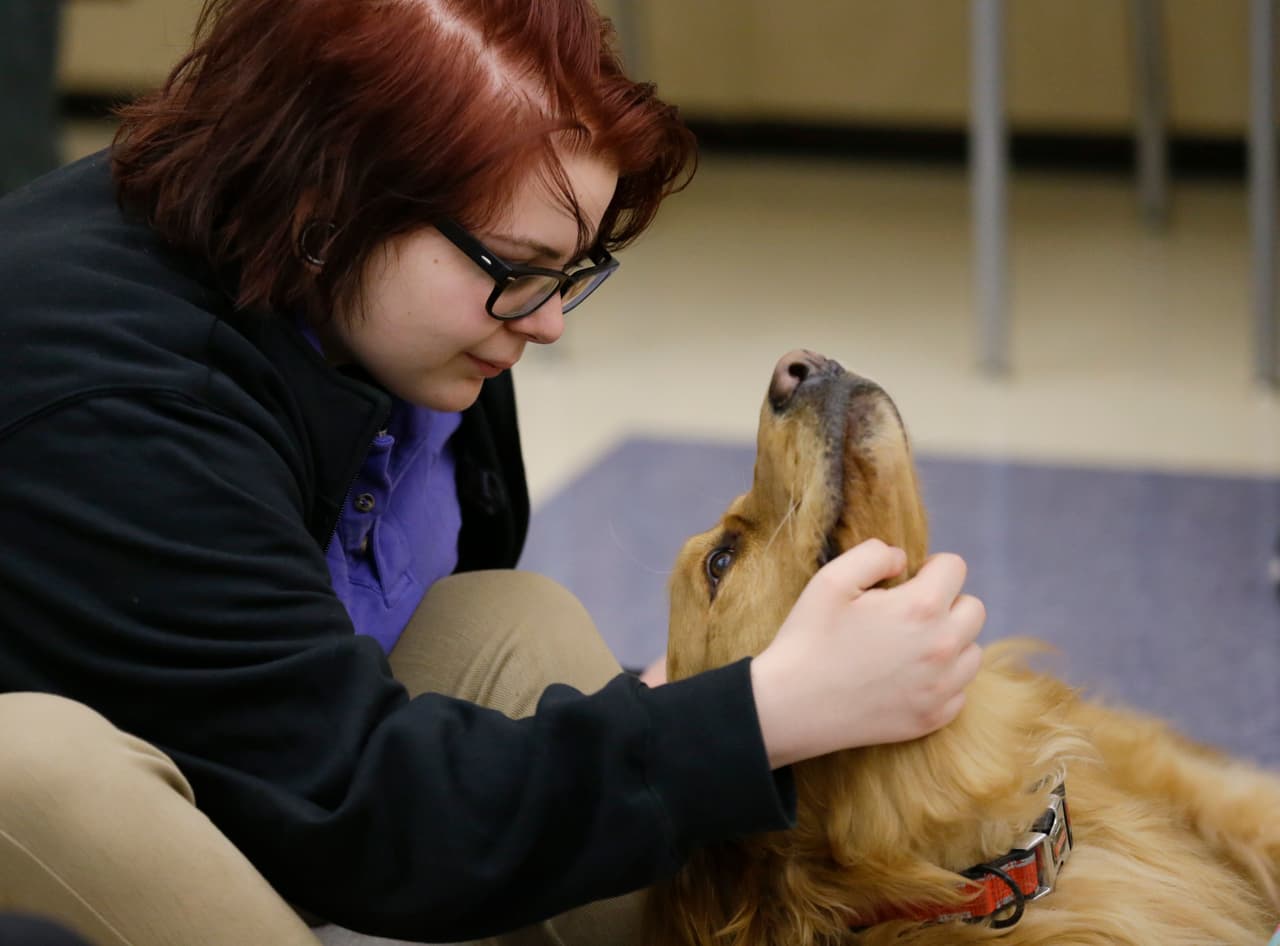 Sophie Herrick es una adolescente que lucha contra la 
<a href="http://www.univision.com/temas/drogas-y-adicciones">adicción</a>. Asiste a clases en la Hope Academy de Indianápolis. Para muchos jóvenes como ella, regresar a una escuela tradicional implica caer en la tentación de que sus compañeros les ofrezcan nuevamente la droga. Los investigadores consideran que les va mejor en escuelas especiales de recuperación, donde todos se apoyan.
<br>