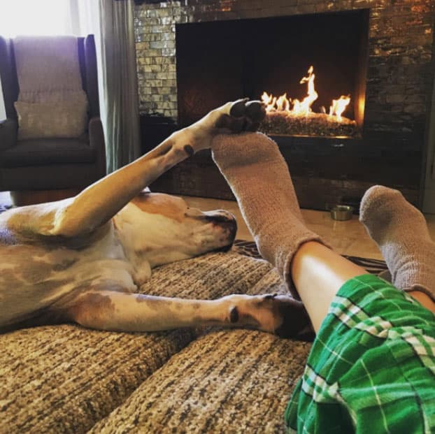 Kaley Cuoco, recién divorciada, celebró con su adorado perrito.