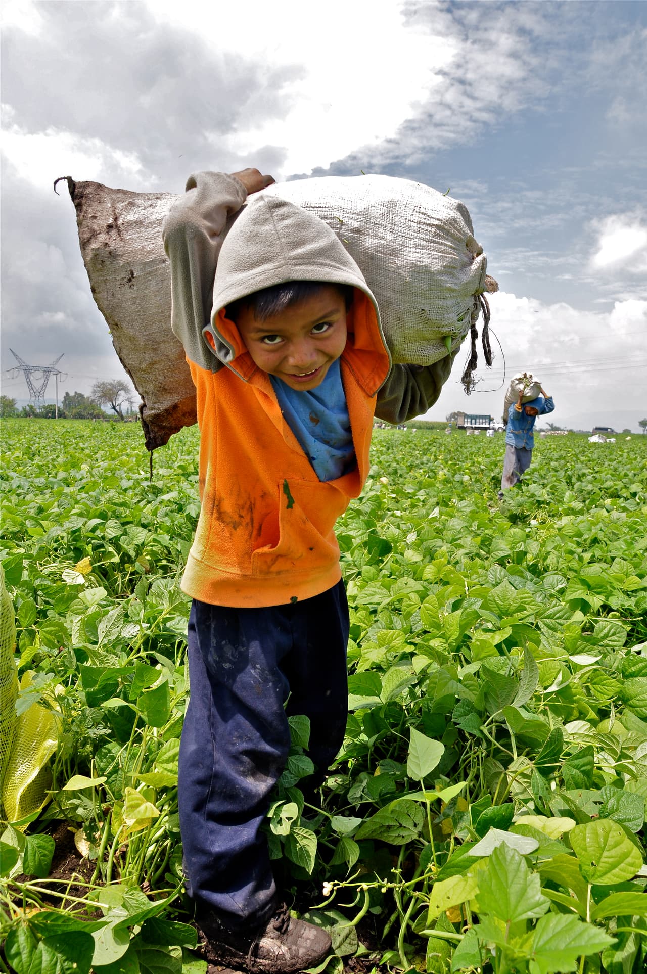 La muestra también refleja aspectos de la migración interna y el trabajo infantil. En México, por ejemplo, niños recogen vegetales y frutas en regiones de producción agrícola.