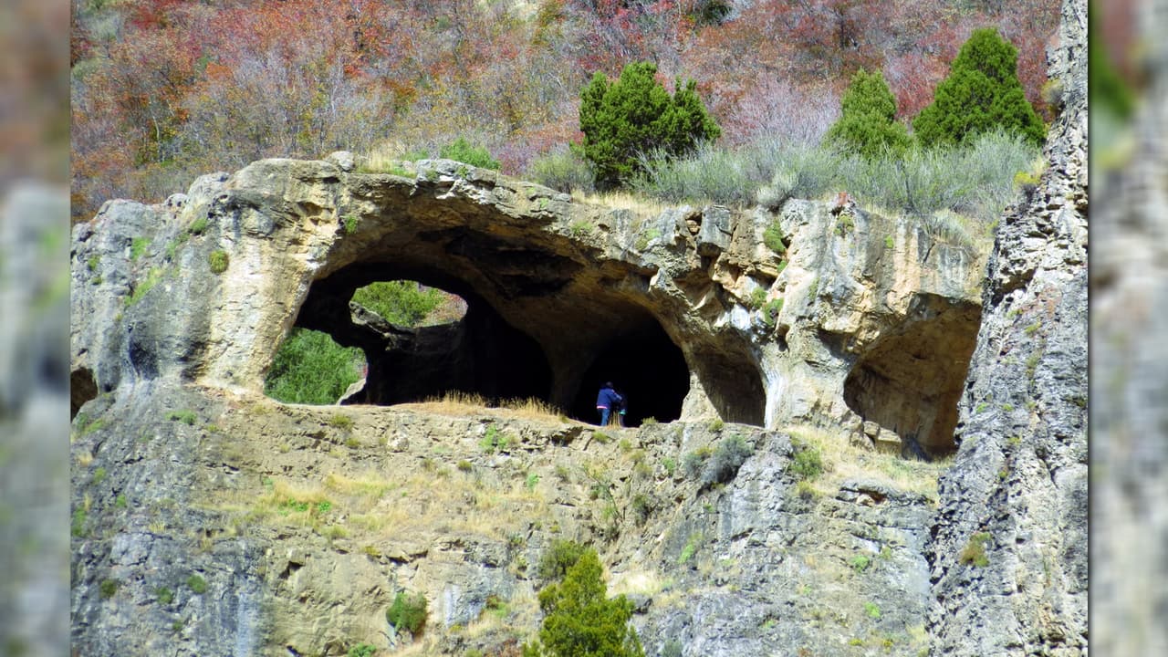 <b>Wind Cave (Cueva del Viento): </b>Aunque no le haga justicia a su nombre, se formó por el agua y no por el viento, se desarrolló bajo tierra
<b>durante miles de años</b> antes de quedar expuesta. Es un popular destino de senderismo, también conocido como el
<b>Castillo de la Bruja</b>, en el Cañón de Logan.