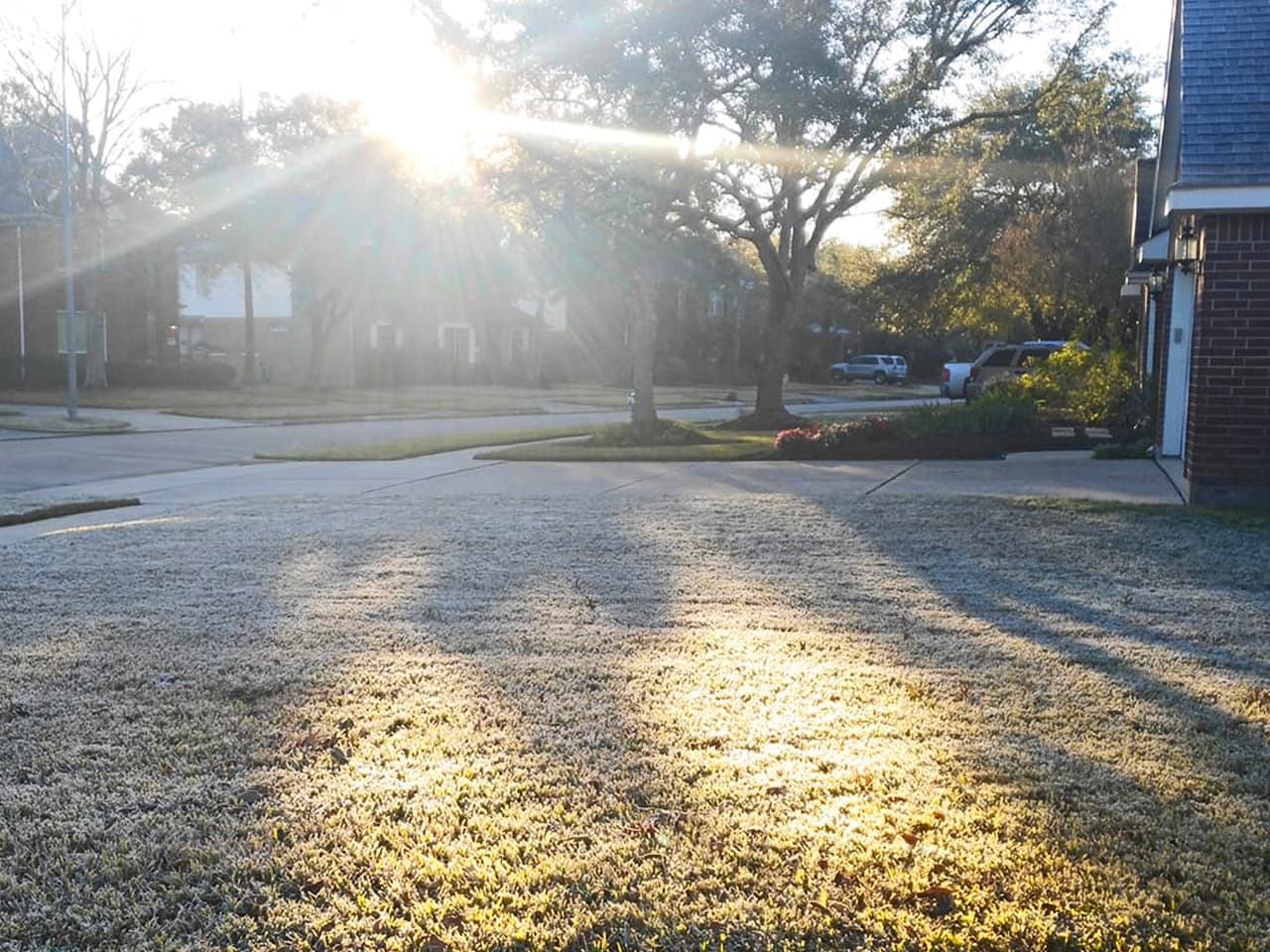 Imagen tomada por Diana González en el vecindario Cinco Ranch Meadow.
<br>