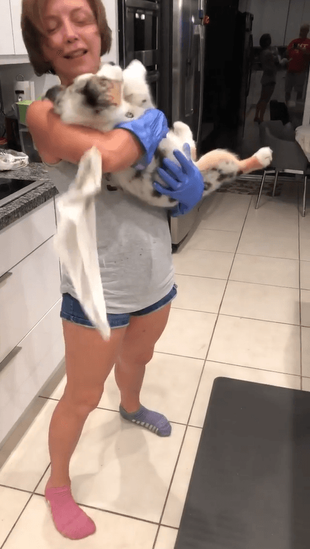 Laura Flores asegura que le ha ido bien desde que comenzó con esta nueva faceta profesional y que “tiene una agenda llena de clientes”.
<br>