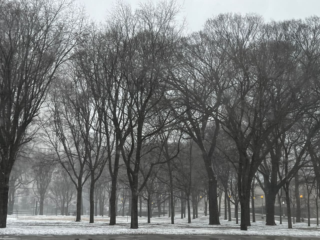 Empiezan las acumulaciones de nieve en Chicago y suburbios 