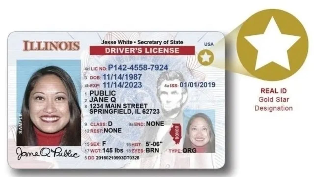 <b>En video 📹 </b>Muchas personas piensan que la licencia sirve como evidencia de estatus legal, pero no es así. Este documento no demuestra si puedes vivir o trabajar en el país, aclara Armando Olmedo. 
<b>Aquí te explicamos qué papeles sí debes llevar contigo para evitar complicaciones.</b>