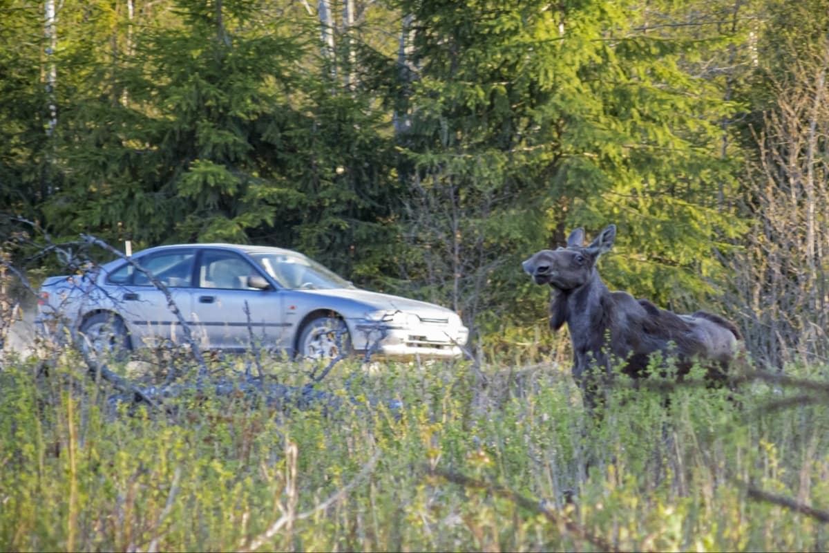 Los bomberos de Engine 131 y Squad 131 respondieron al accidente y ayudaron para advertir del tráfico que se originó a causa del accidente.