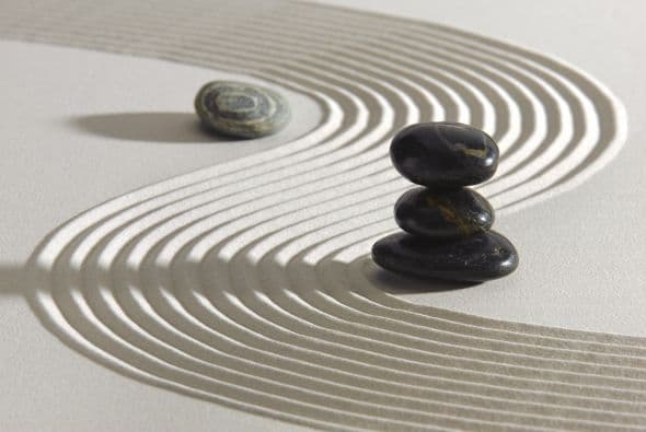 Arena y piedritas también son elementos que deberías tener.