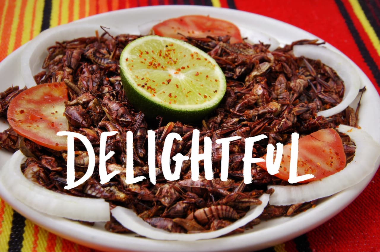 A falta de tocino…¡insectos comestibles!