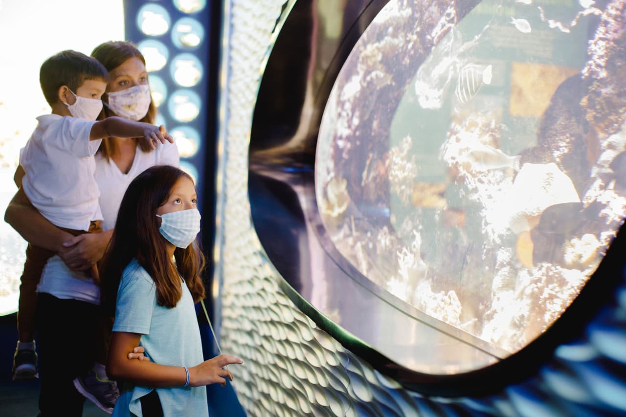 Estos son los mejores museos para niños que puedes visitar en Carolina del Norte en 2022