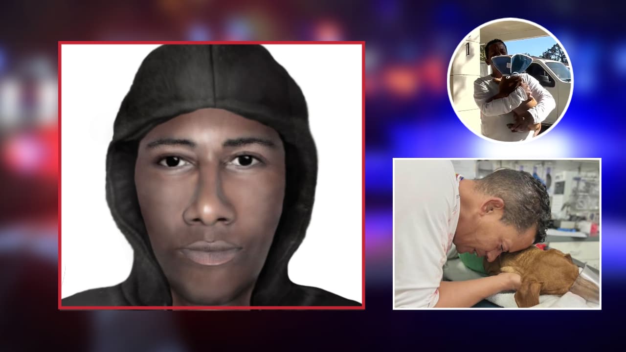 Este es el retrato hablado del sospechoso que mató al perro de un hispano en Tampa