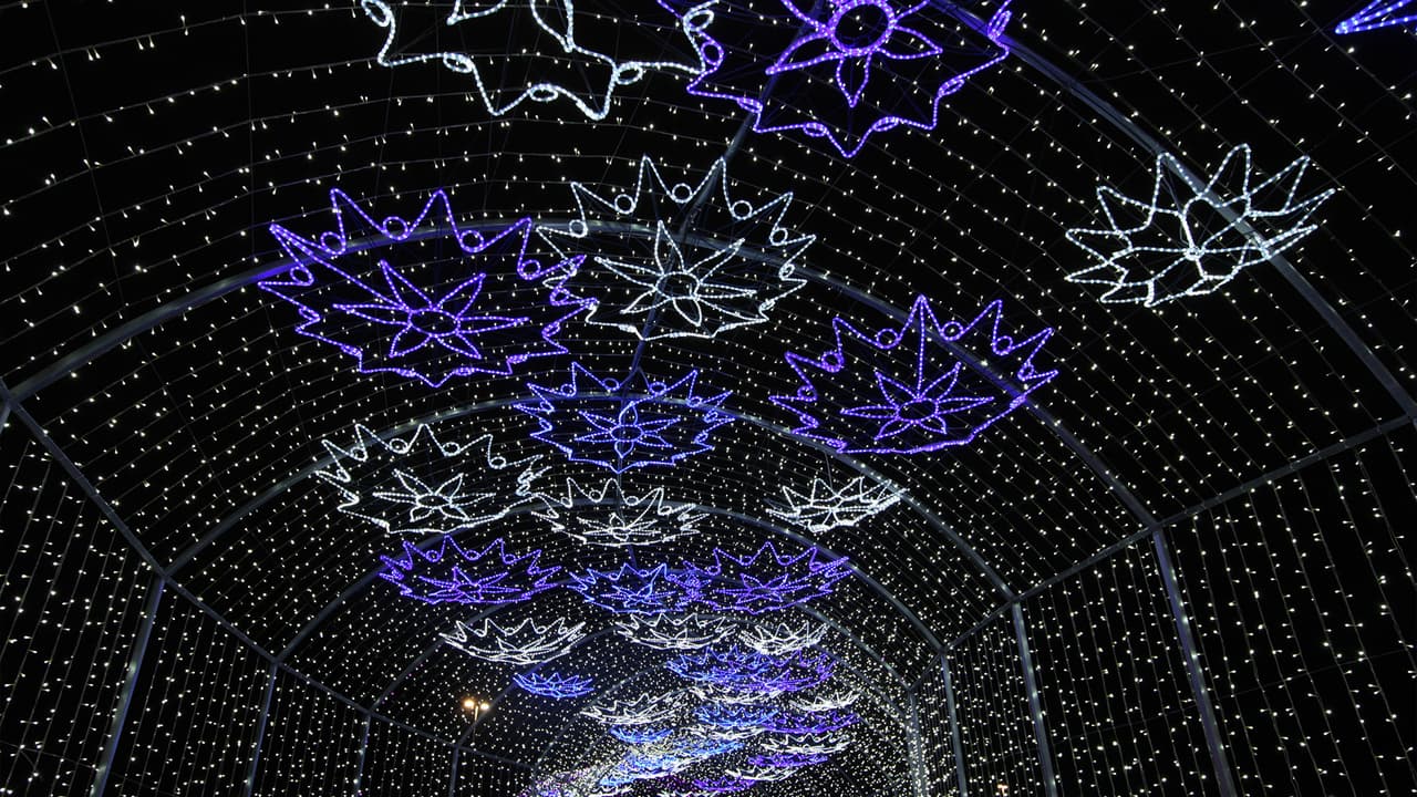 Es importante asistir bien abrigados por las bajas temperaturas de la temporada.