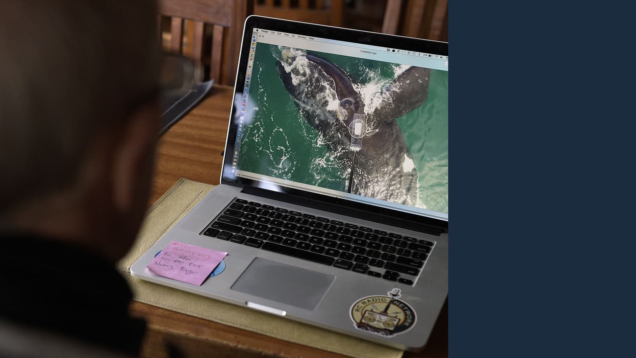 Todos queremos ser millonarios. Es tiempo de soltar lo que estés haciendo, buscar una cámara y comenzar a grabar tus ideas y acciones.