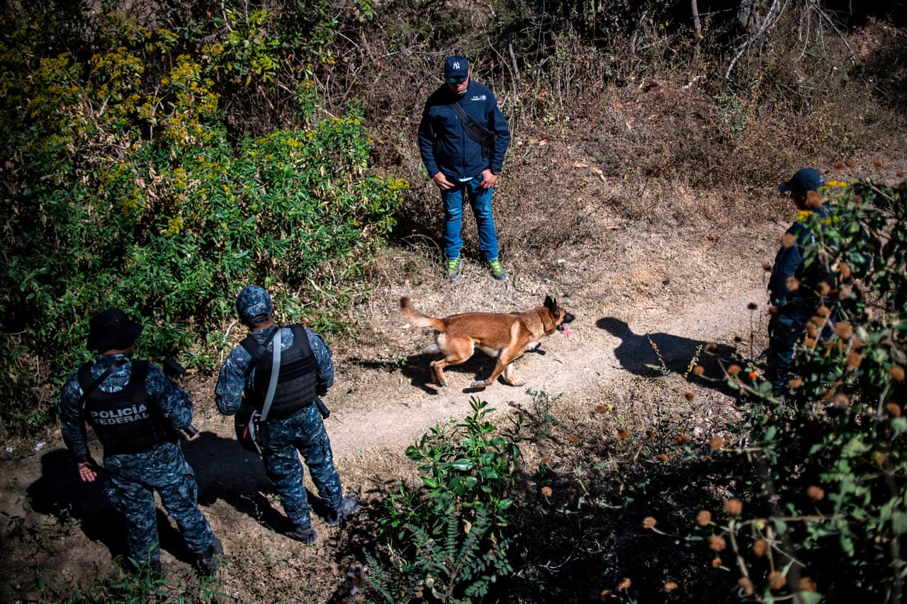 En México, cinco carteles se disputan el lucrativo mercado del fentanilo: Cartel de Jalisco, de Sinaloa, del Golfo, del Noreste y Los Talibanes.