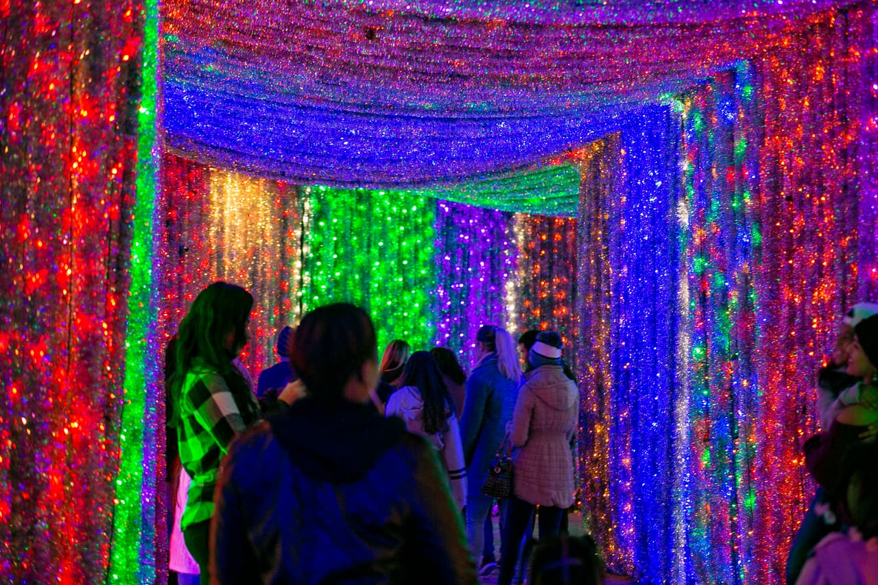 Este año la exhibición cuenta con un túnel iluminado que tiene una distancia de 100 pies.