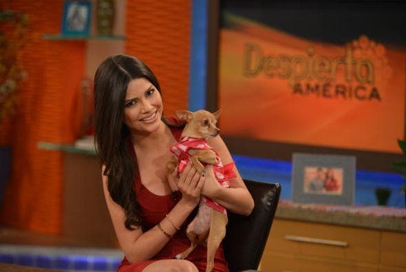 Ana Patricia y Honey iban juntas a todos lados. Carlos Calderón recordó este viernes 8 de enero que la exreina de Nuestra Belleza Latina la llevaba hasta en carreola al show.