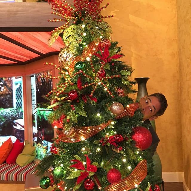 ¿De quién te escondes, Johnny? (10 de diciembre, 2015).