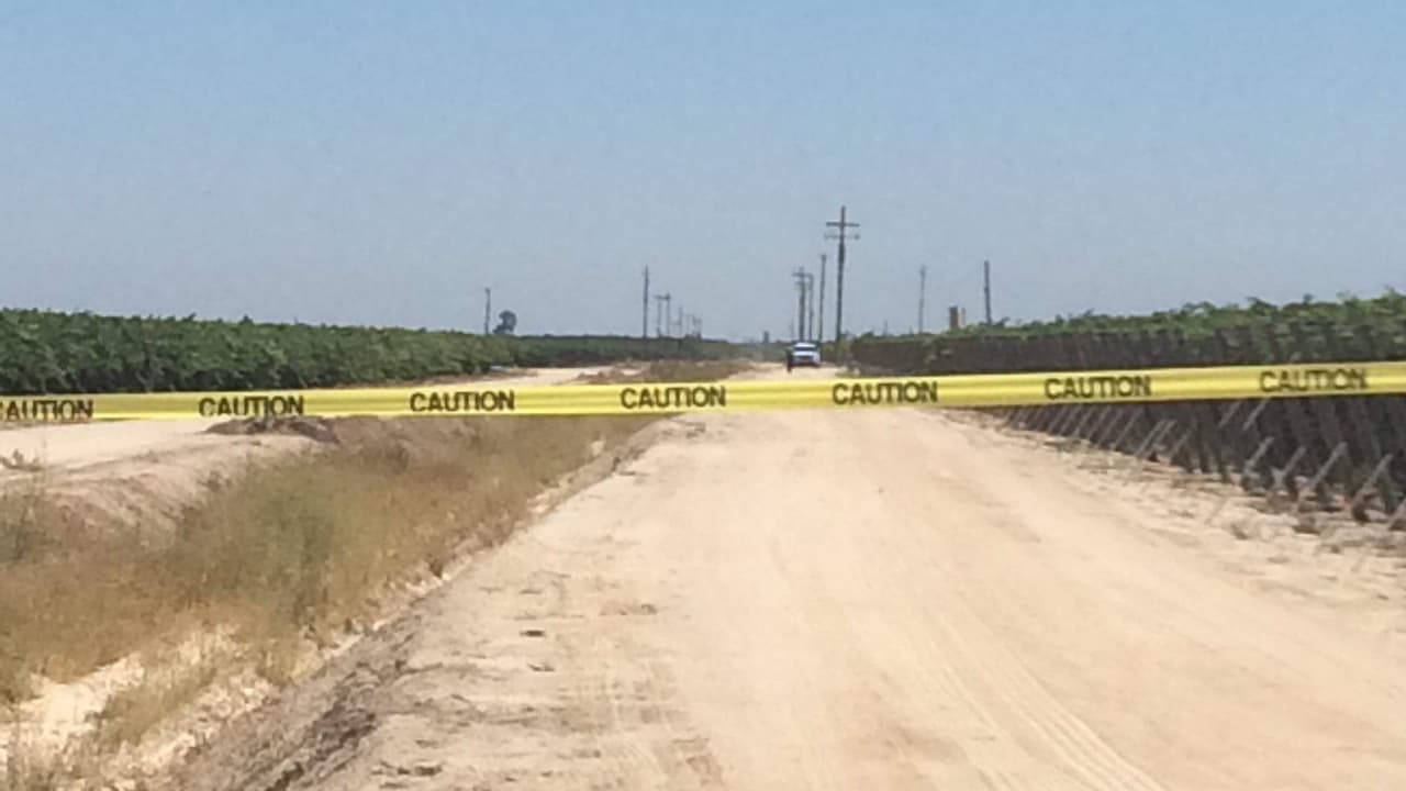 Encuentran muerto a trabajador agrícola mientras limpiaba viñedos en un campo de Kerman