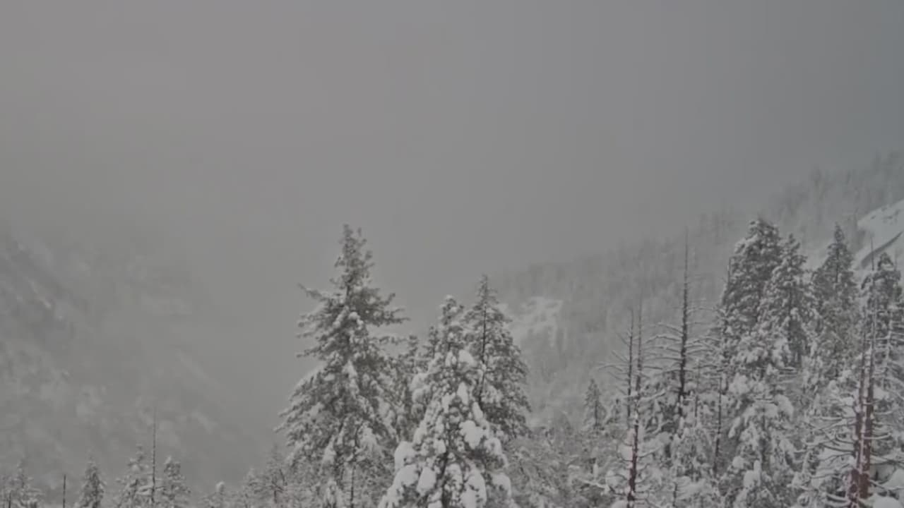Tormenta de nieve provoca el cierre del Parque Nacional de Yosemite: Esto es lo que se sabe