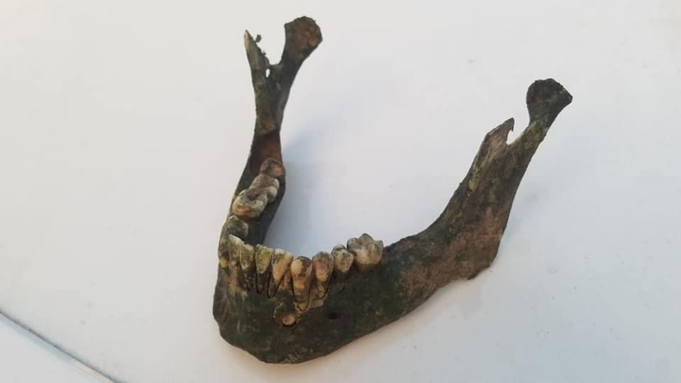 Nadador en Bastrop encuentra posibles restos humanos mientras nadaba en el río Colorado