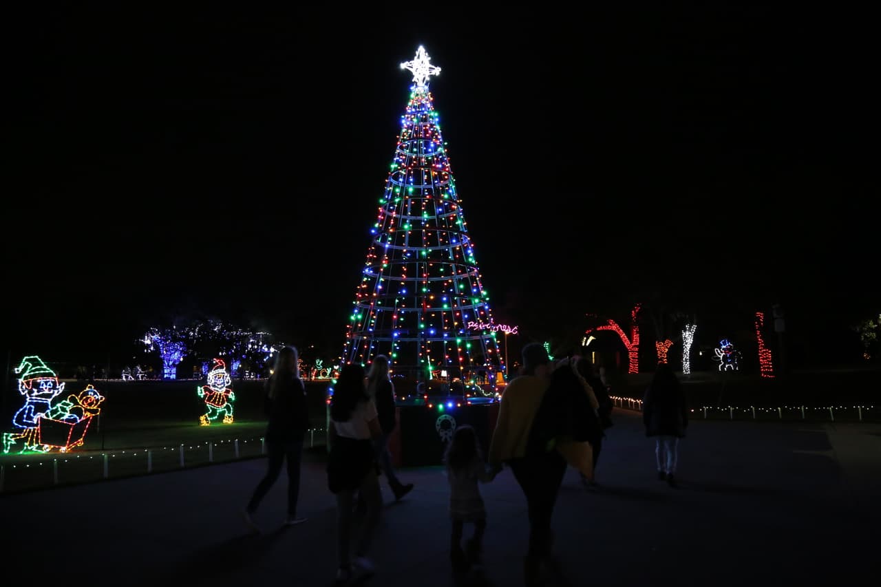 Muchos se arriman al enorme árbol navideño de luces para sacarse una foto como de postal.