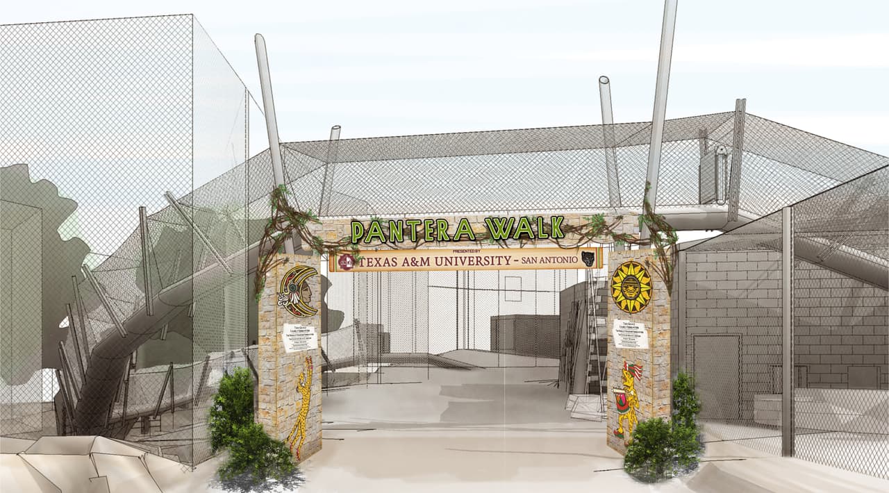 Neotropica tiene un diseño de ecosistema único que permite que los animales de los trópicos coexistan uno al lado del otro.