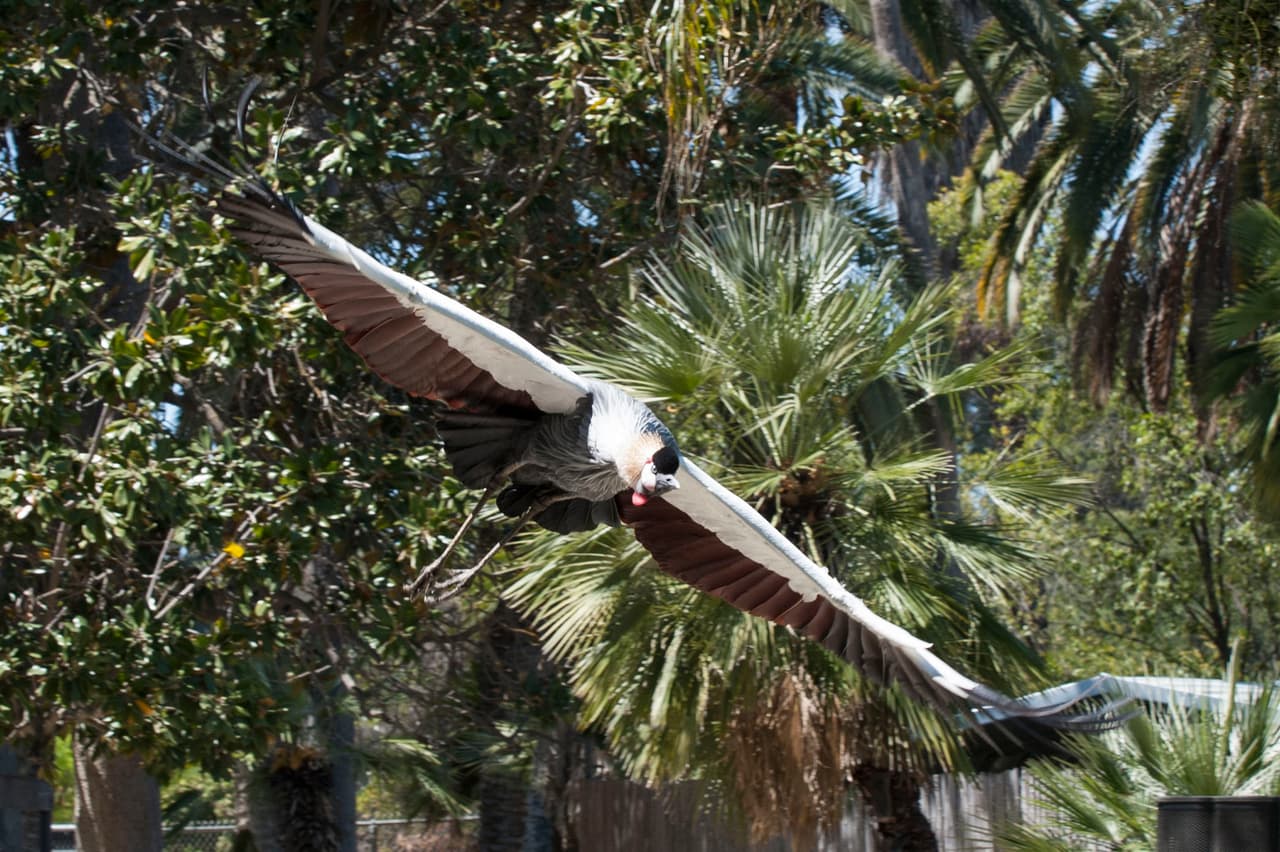 Un bello dia fue perfecto para las familias desde Bakersfield a Modesto.