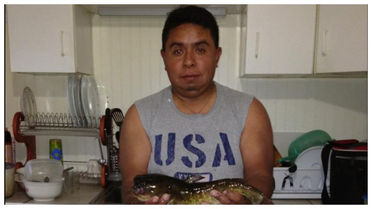 Él trabaja en jardinería junto a uno de sus amigos y, de acuerdo a sus redes sociales,
<b> le gustaba la pesca y -sobre todo- pasar tiempo con sus hijos. </b>