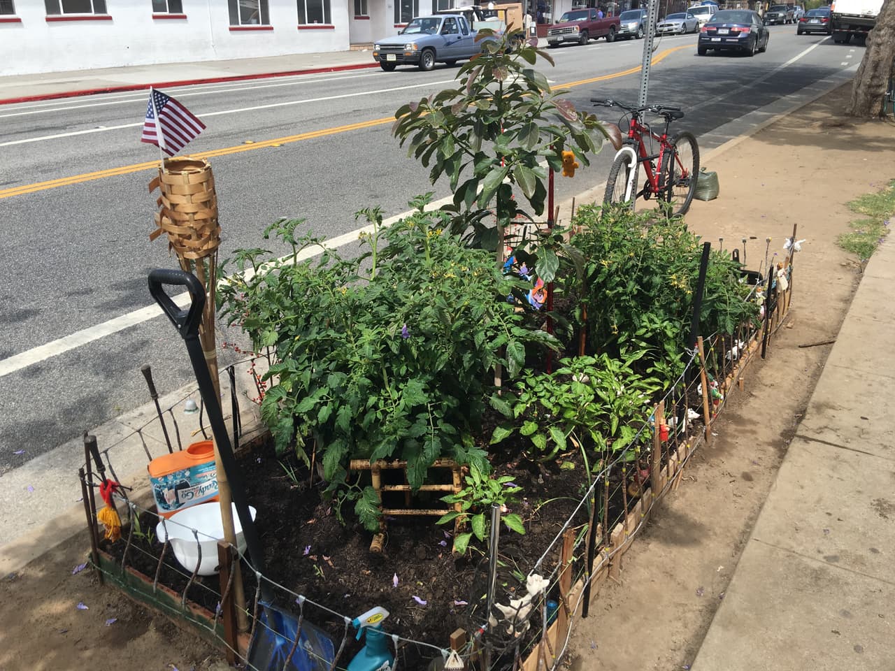 La composta que usa para abono la fabrica con frutos secos y tierra.