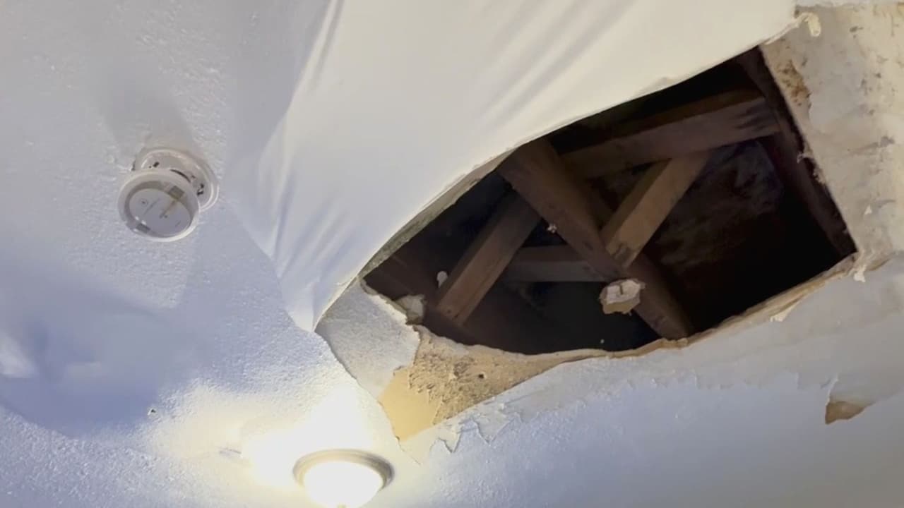 Familias viven entre moho y filtraciones de agua: ¿quién es responsable?