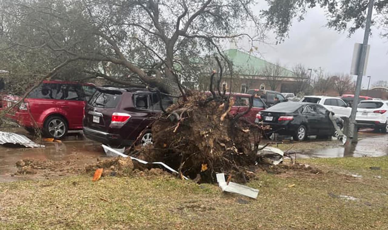 La intensidad del tornado fue tan alta que arrancó este árbol desde la raíz.
