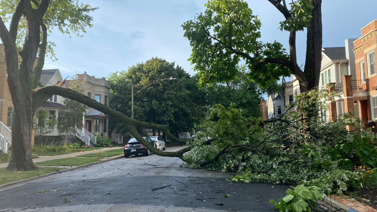 En el vecindario de Logan Square, en el lado noroeste de Chicago, las fuertes ráfagas de viento derribaron árboles.