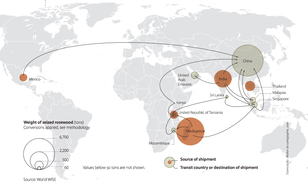 Entre 2005 y 2015, los archivos de WorldWise tienen documentadas incautaciones de casi 10,000 toneladas de palisandro protegido. No obstante, los expertos en crimen de la ONU creen que puede haber madera confiscada en Asia y Latinoamérica que no aparezca en registros. El mapa muestra los flujos de madera requisada de palisandro entre 2005 y 2015 (en marrón, el origen de los envíos requisados).