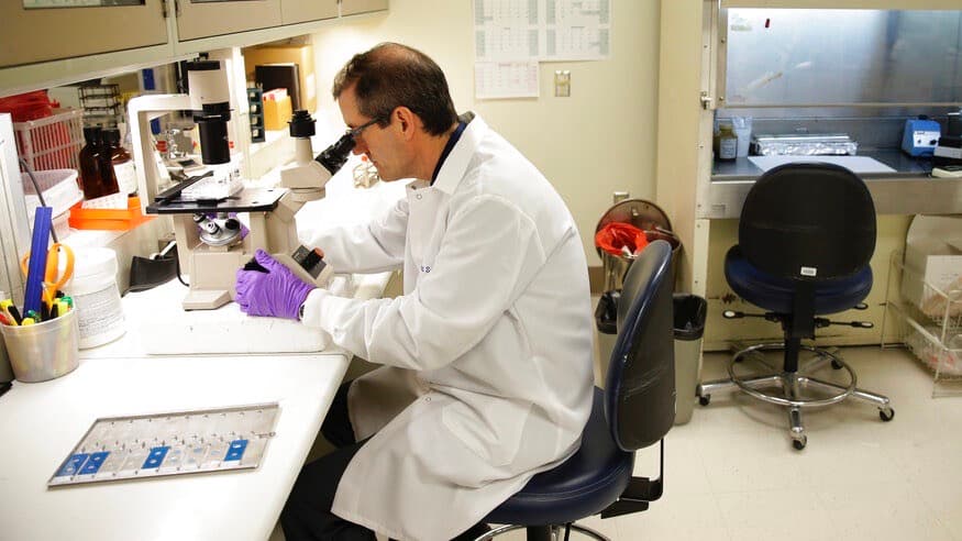 Expertos predicen fuga de cerebros por recortes de Trump a investigación científica