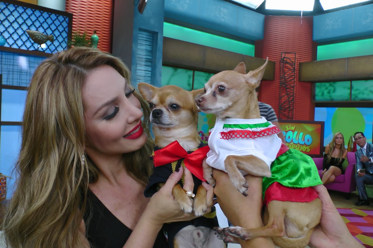 Paty Navidad quiere a Honey Berry para nuera.