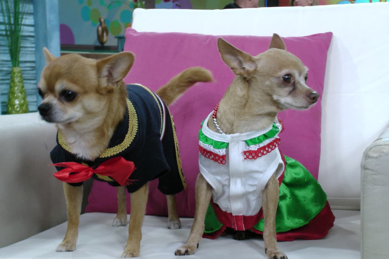 El Charro y La China Poblana nos gustan como pareja.