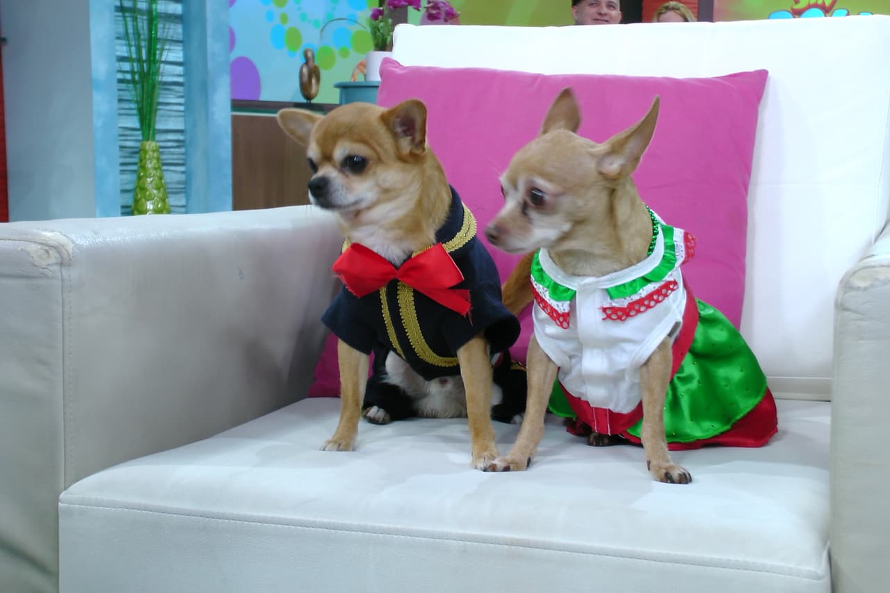 Parece que todo marcha bien en esta relación.