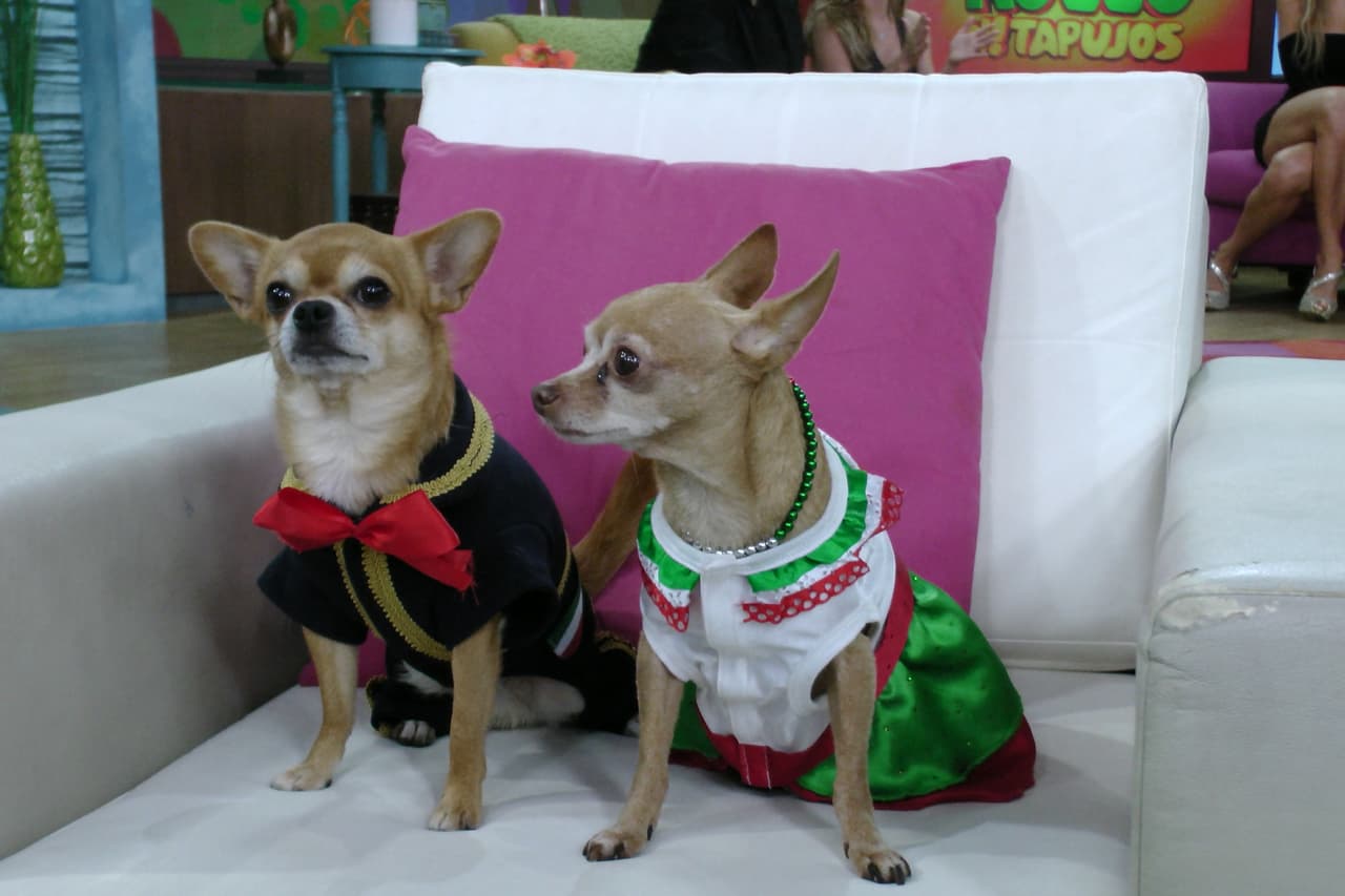 Bruno llegó vestido de charro, combinando perfecto con el look de Honey.