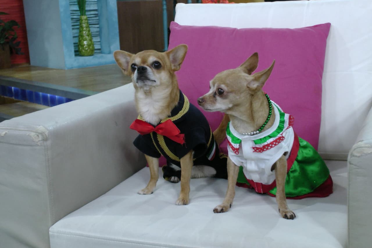 ¿Será que Bruno finalmente logre conquistar su corazón?