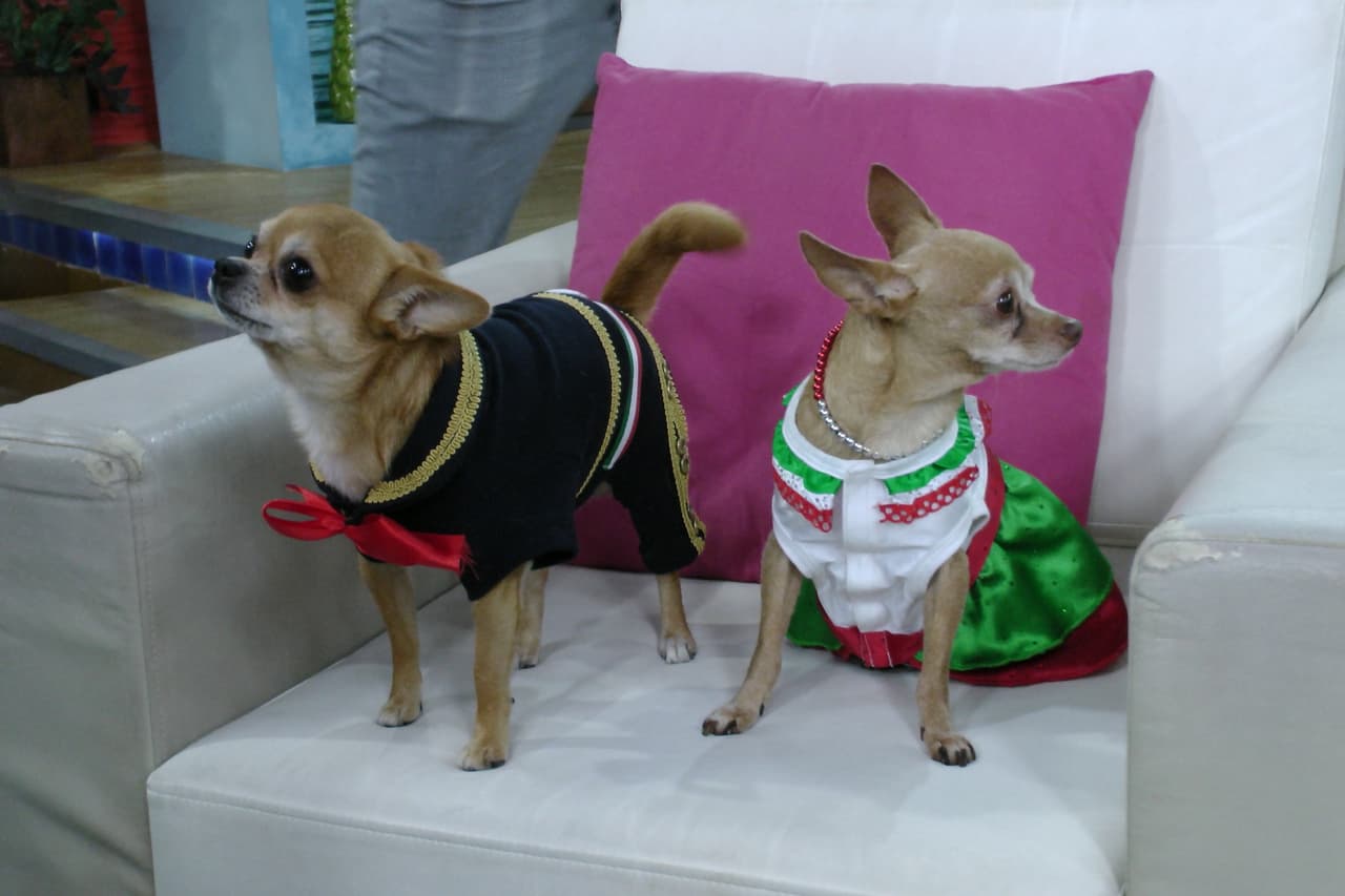 Aunque en un principio Honey trataba de disimular, finalmente aceptó que fueran amigos.